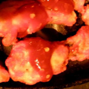 Sizzling wings